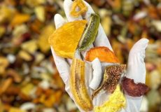 میوه خشک محبوب شیراز تنقلات سالم برای کودکان